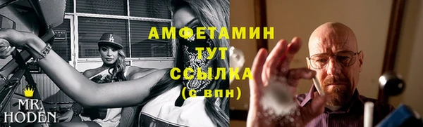 PSILOCYBIN Гатчина
