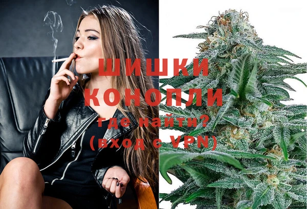 индика Бикин