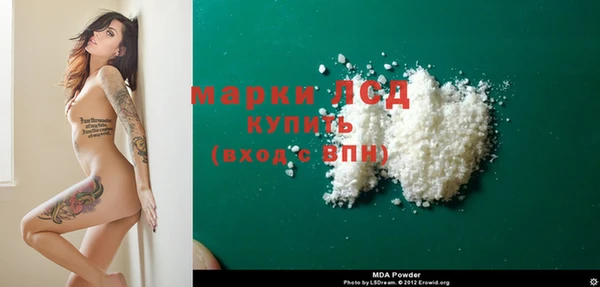 PSILOCYBIN Гатчина