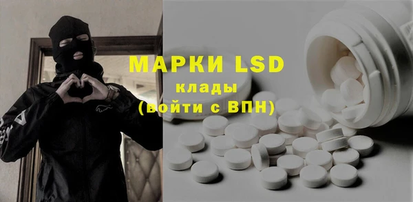 PSILOCYBIN Гатчина