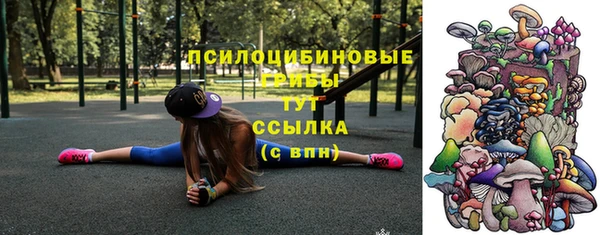 дживик Галич