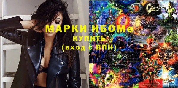 PSILOCYBIN Гатчина