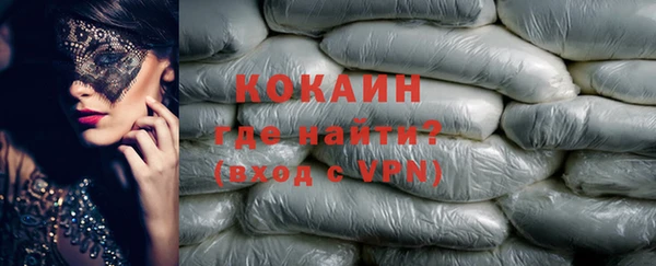 PSILOCYBIN Гатчина