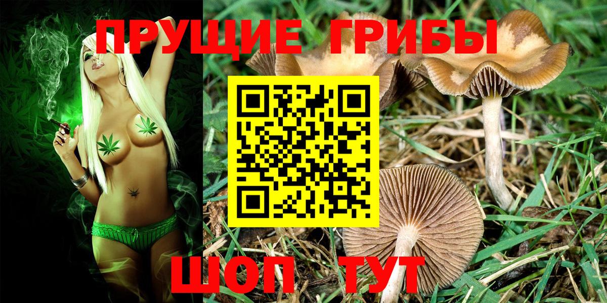 Анапа  Псилоцибиновые грибы Psilocybine cubensis  Вход с VPN 