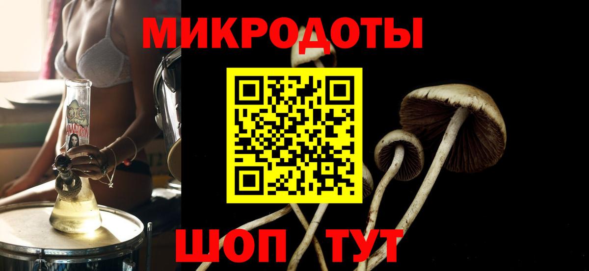 Галлюциногенные грибы Magic Shrooms  Анапа 