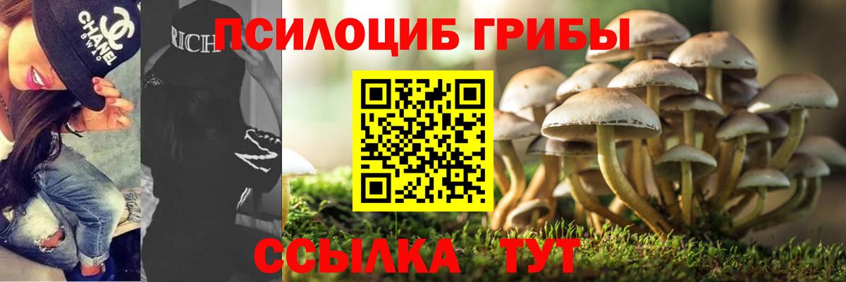 Псилоцибиновые грибы мицелий Анапа