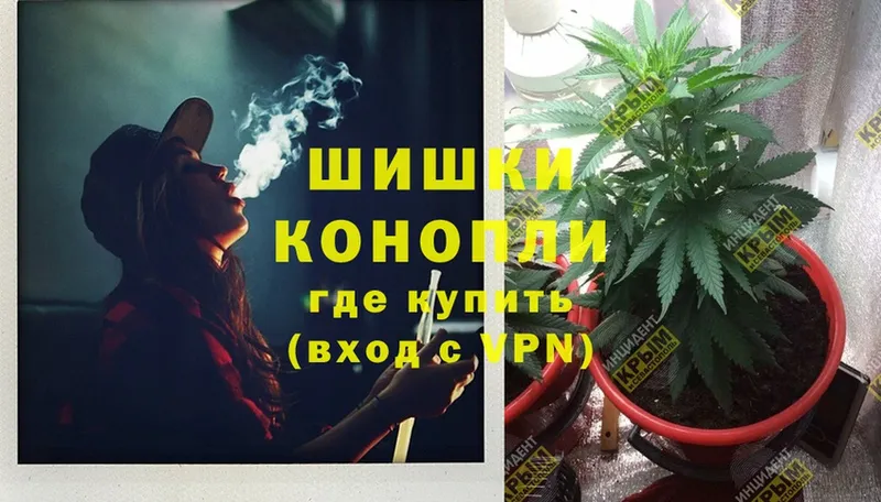 где купить наркотик  Анапа  Бошки марихуана Ganja 