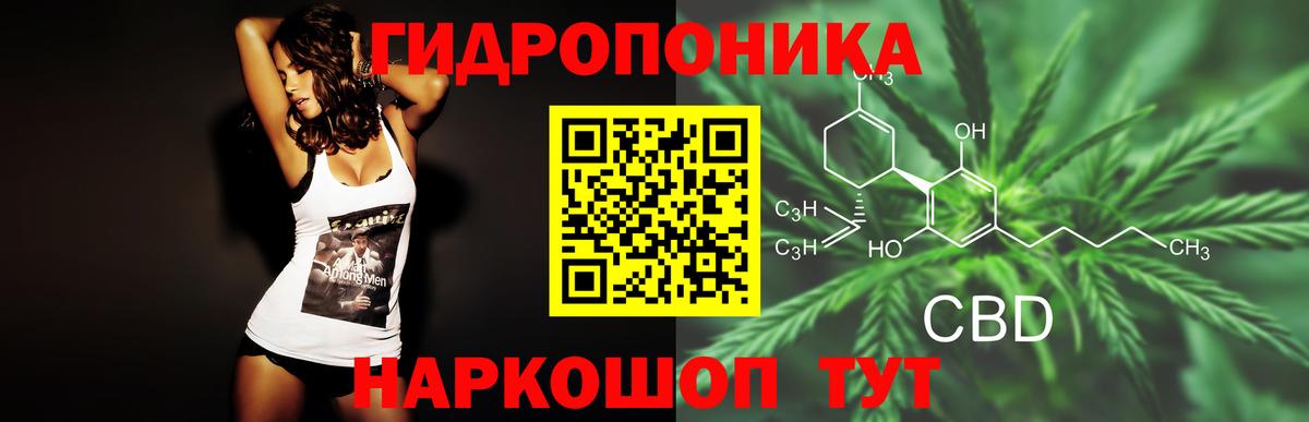 Шишки марихуана AK-47  Шишки марихуана Ganja  Анапа  Вход с VPN 